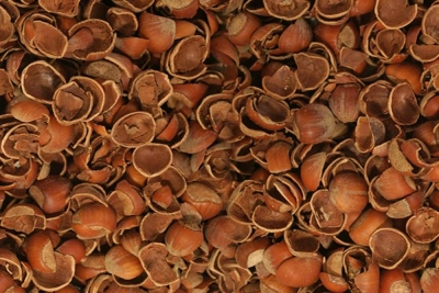 Fındık Kabuğu